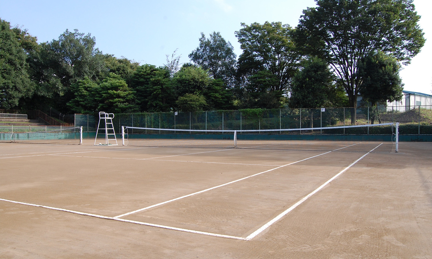 tennis